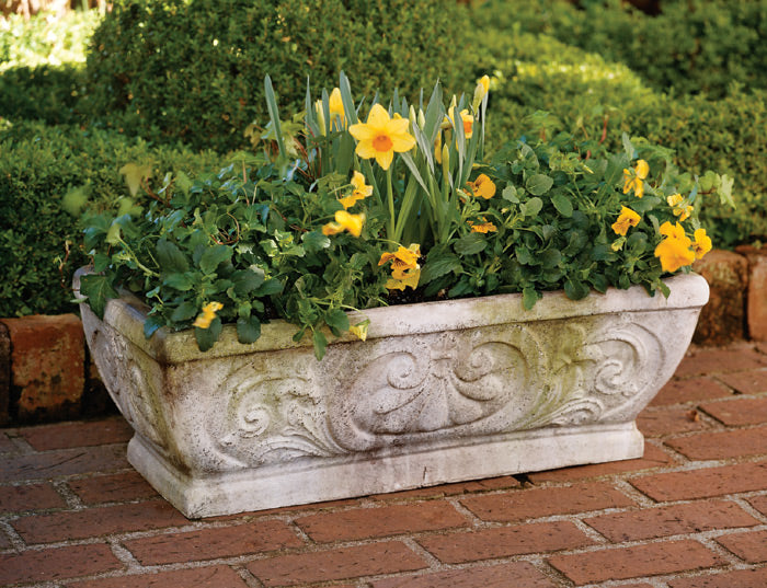 rectangular potted plants Dorset Rectangular Planter – Charleston Gardens
