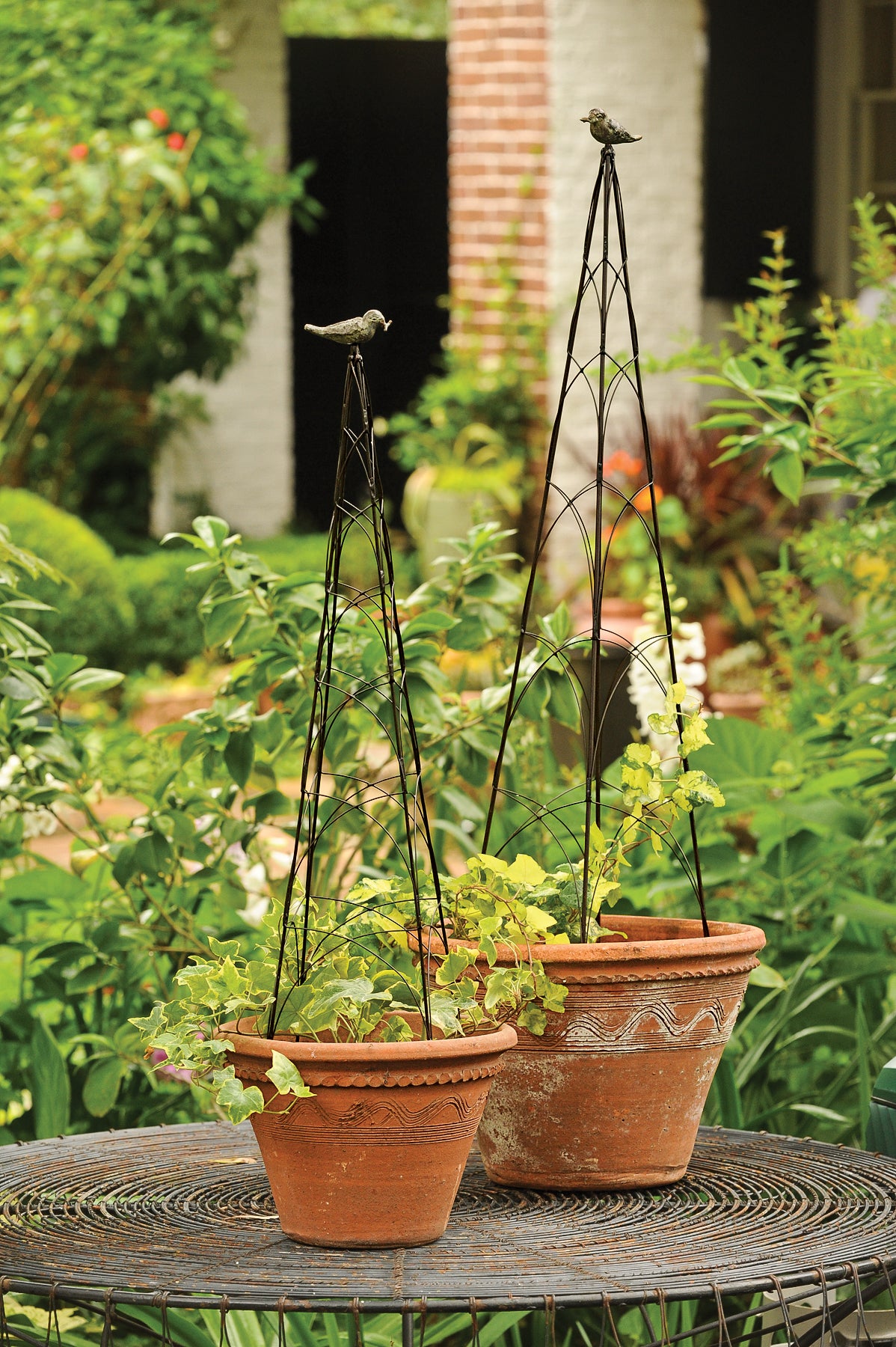 topiary plant trellis Bird Wire Topiary – Charleston Gardens