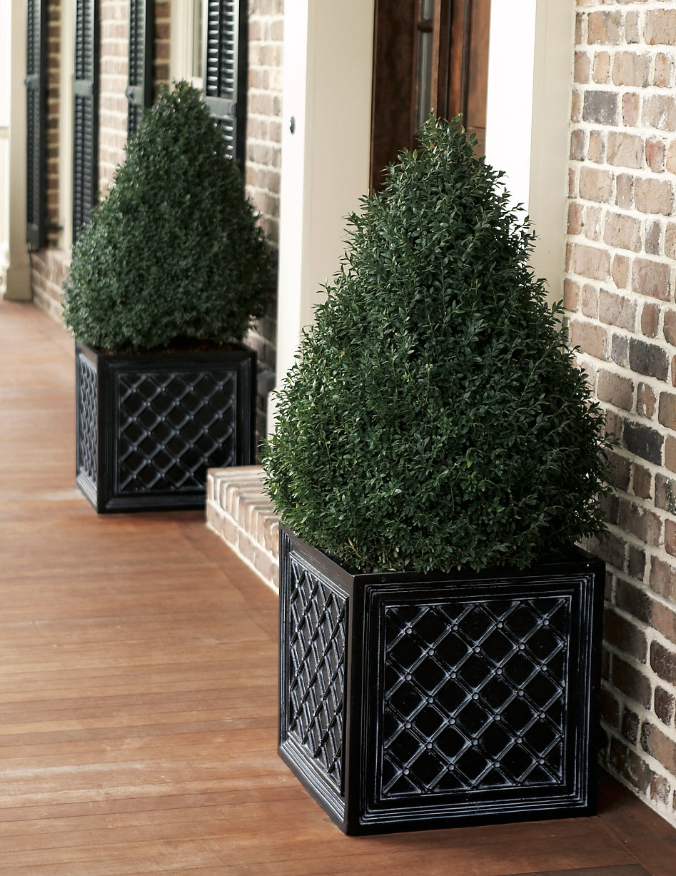 aluminum planter pots Lattice Aluminum Planter – Charleston Gardens