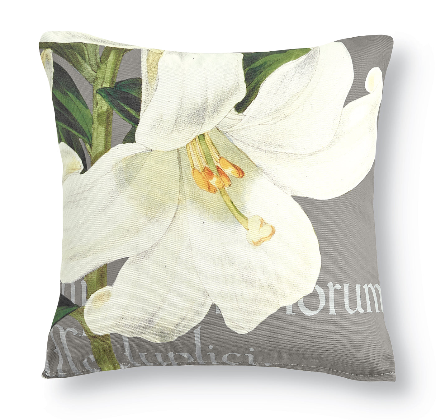 Lily Pillow I