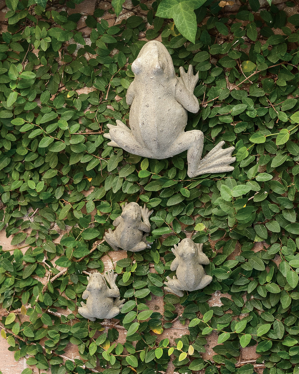 Mother Frog and Babies (Set of Four)