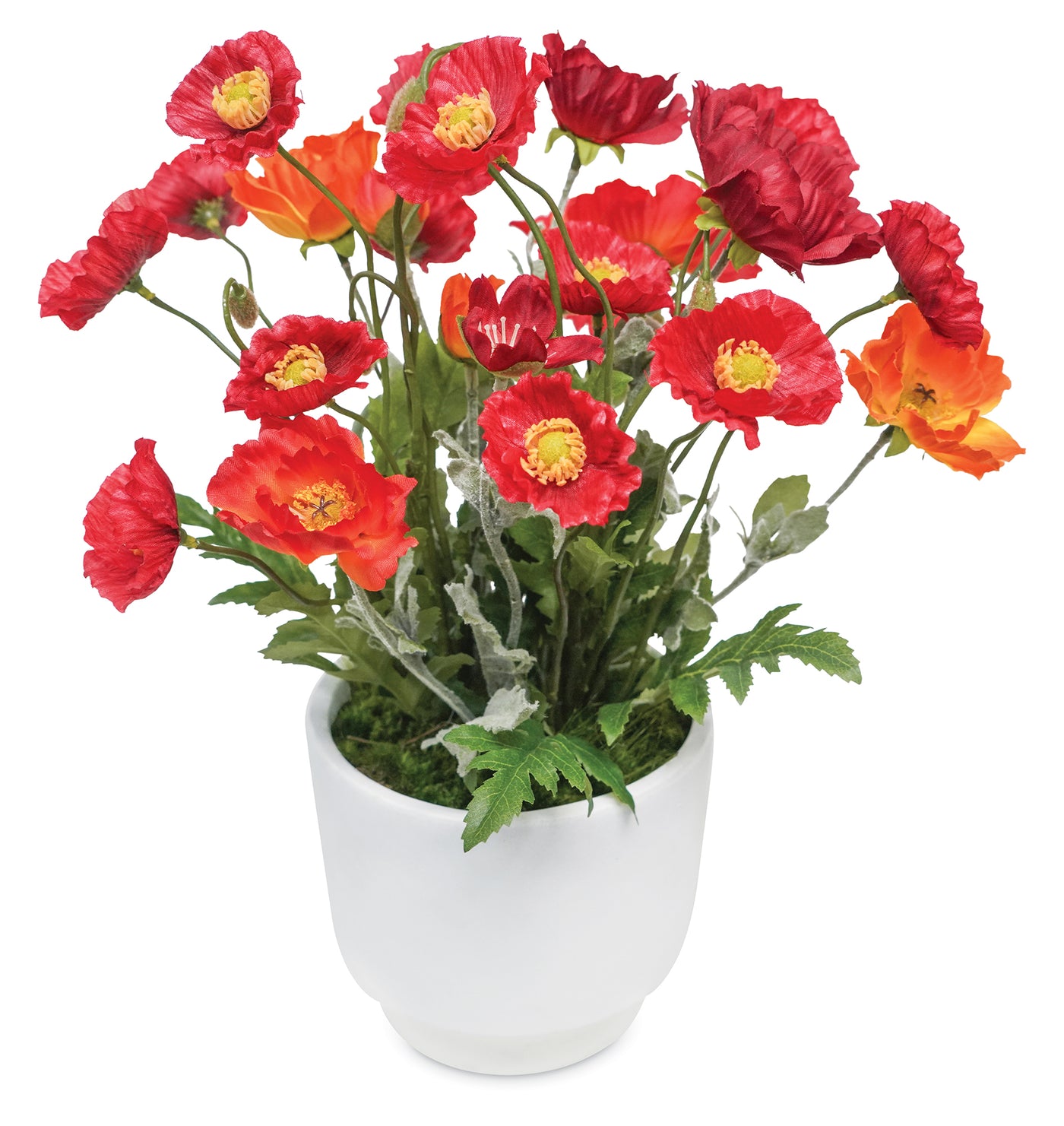 Poppies Bouquet in a White Pot