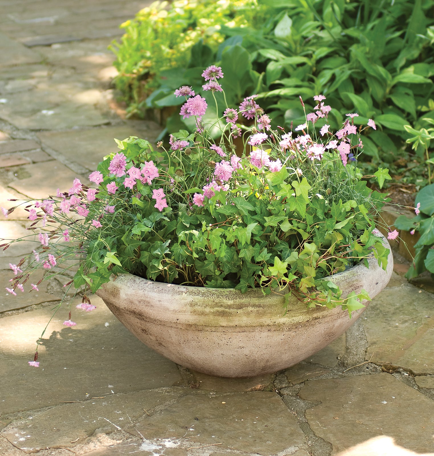 Simple Bowl Charleston Gardens