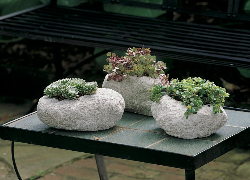 stone planter pot Volcanic Rock Planters (Set of Three) – Charleston Gardens