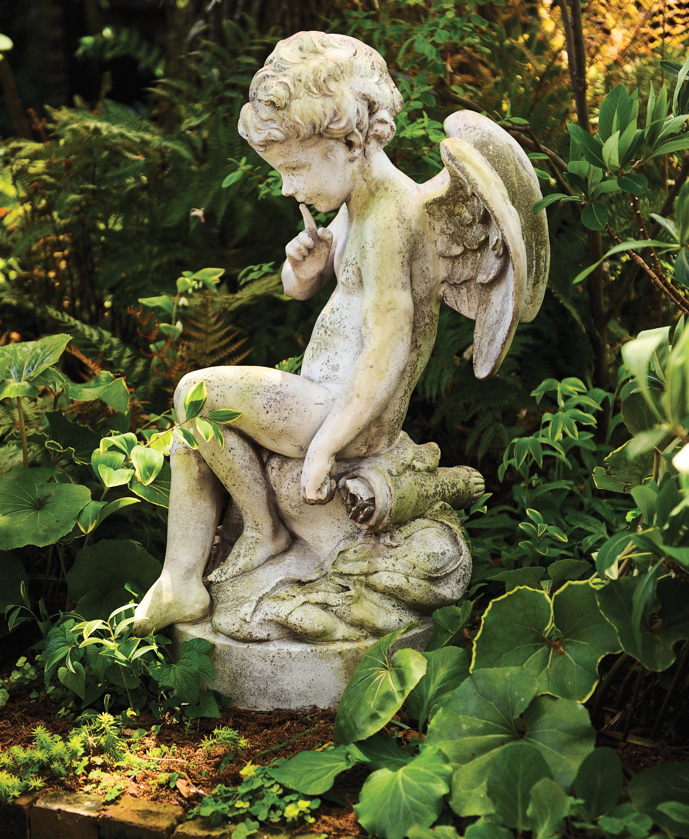 Whispering Cupid Charleston Gardens