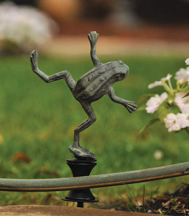 Dancing Frog Hose Guide