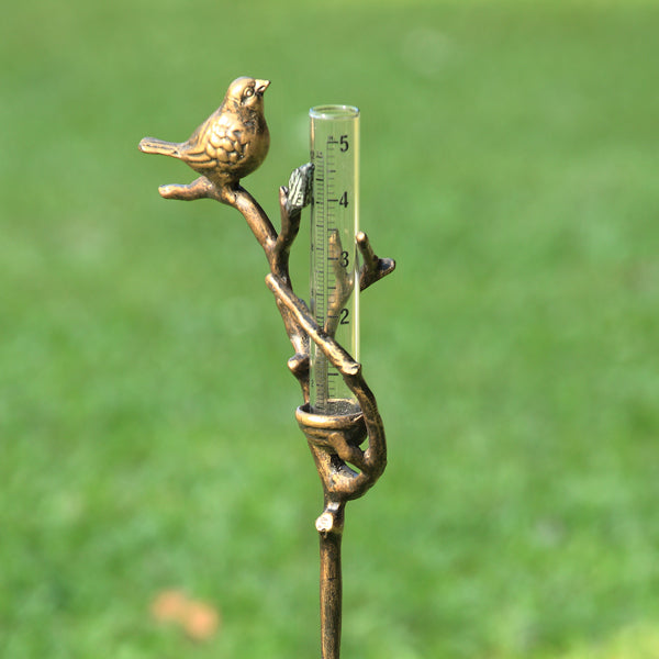 Bird Rain Gauge