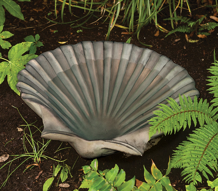 Scalloped Shell Birdbath