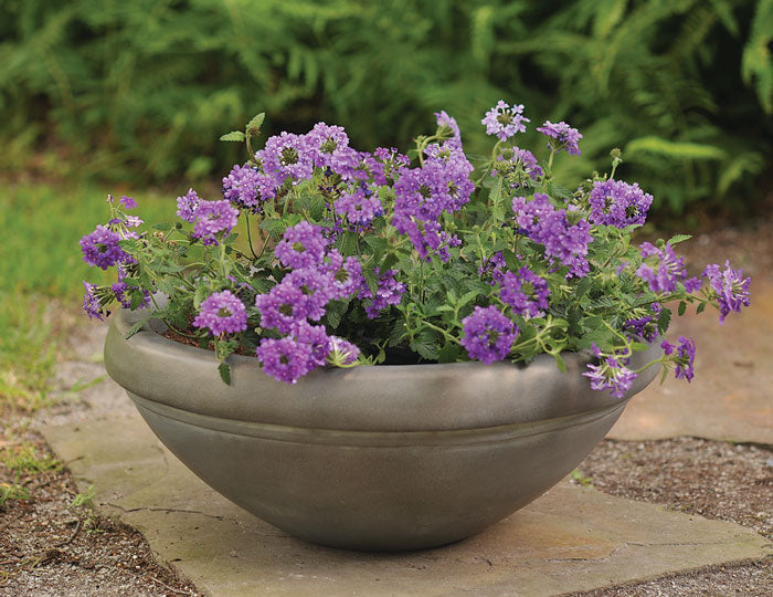 Simple Bowl