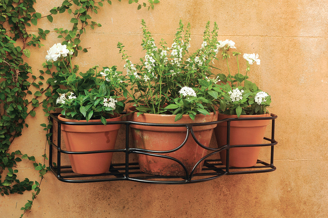 window plant pots Iron Window Box – Charleston Gardens