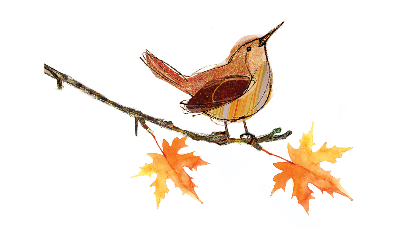 Charleston Gardens Home and Garden Collection