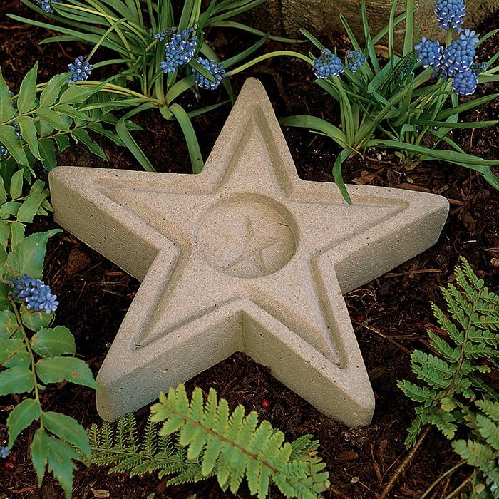 Star Butterfly Feeder