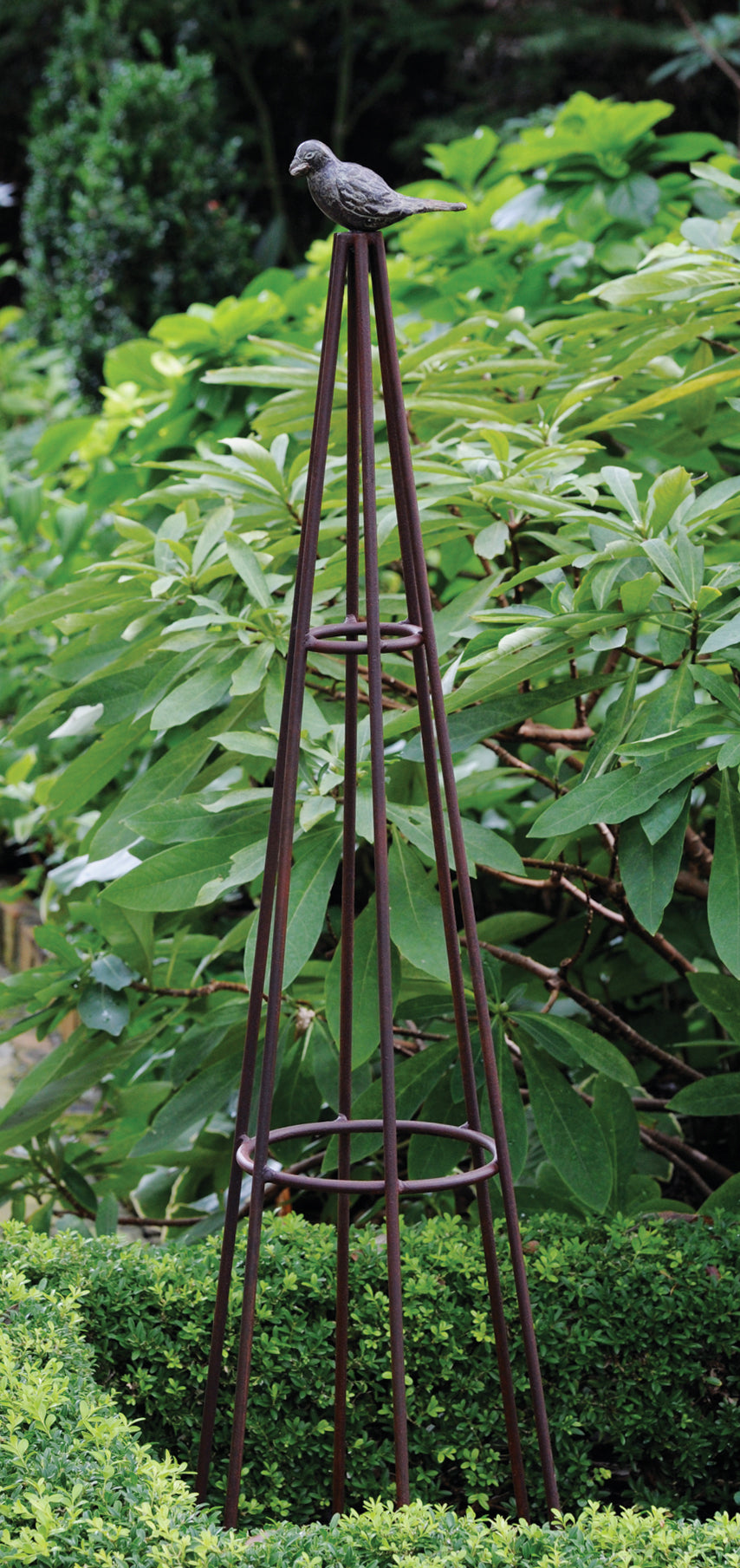 Bird Trellis