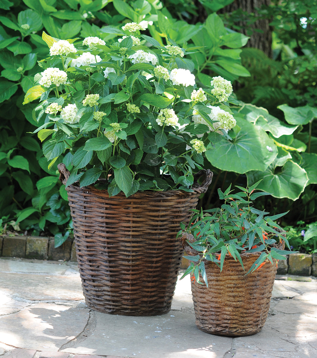 basket plant pot outdoor Outdoor Baskets – Charleston Gardens