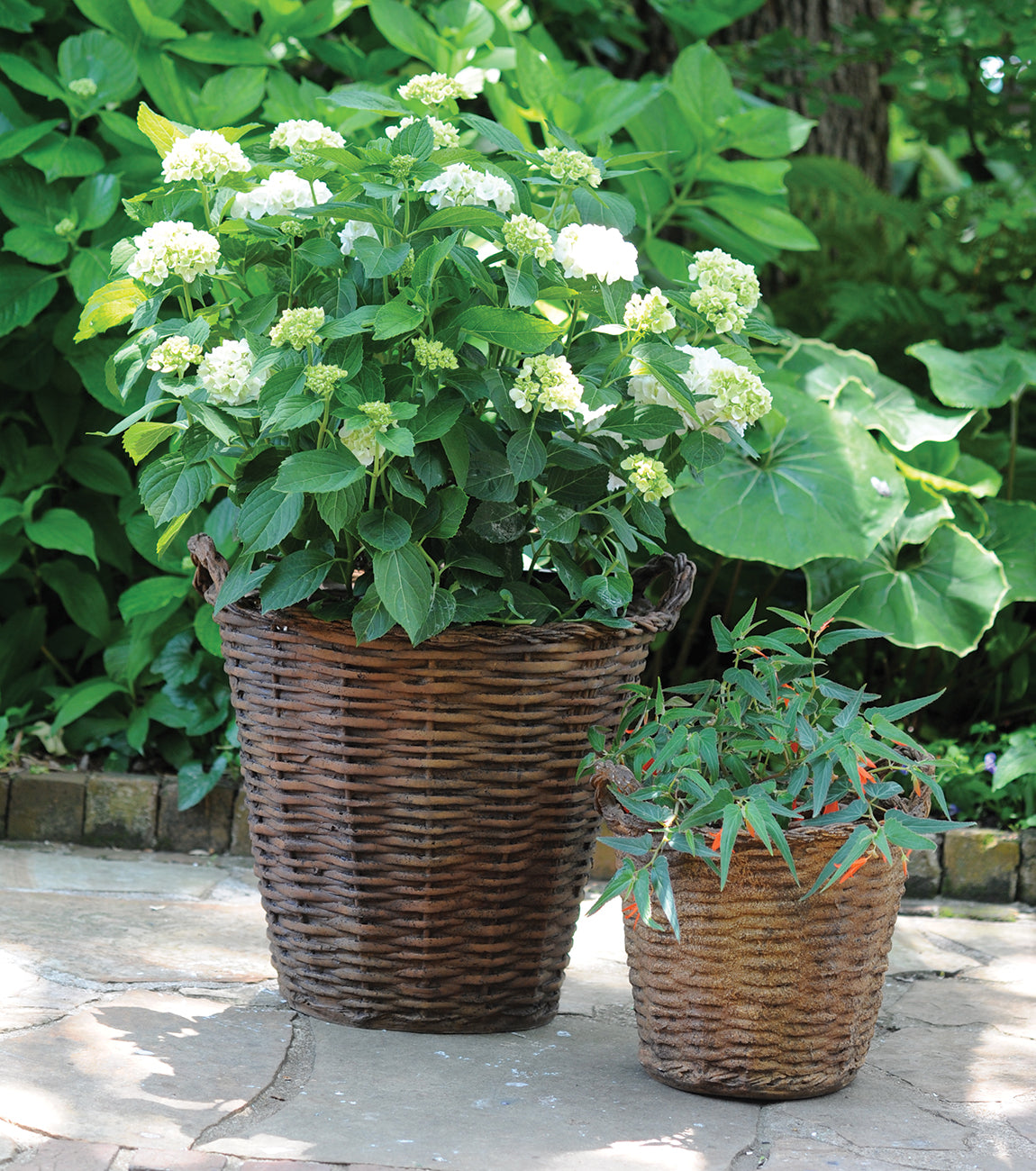 Outdoor Baskets