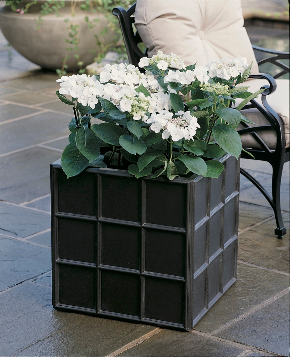 Downing Street Planter