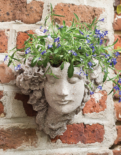 Grace Wall Planter (Out-of-Stock)