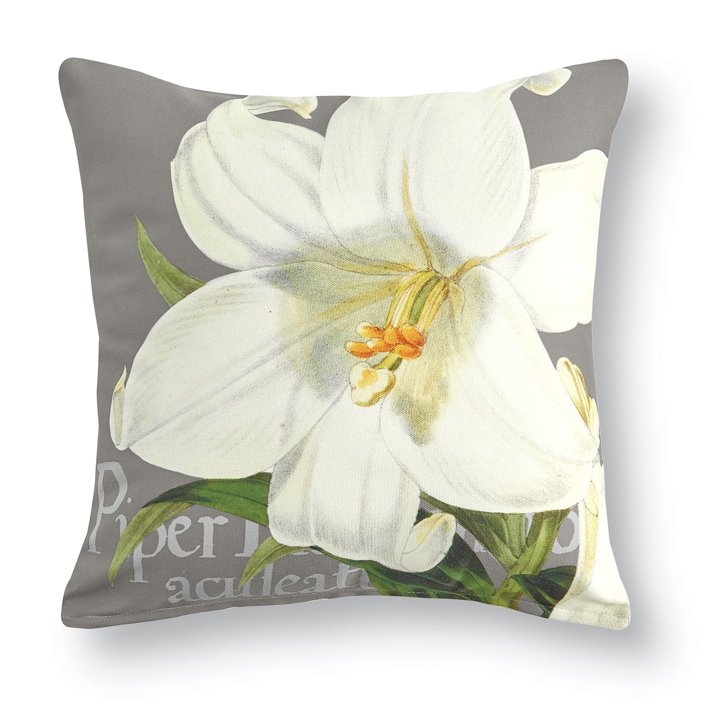 Lily Pillow II