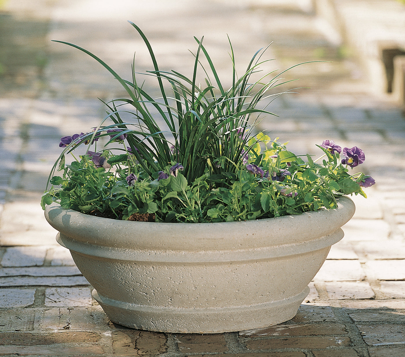 Pansy Planter